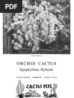 Cactus Pete Orchid Cactus Epiphyllum Hybrids Catalog