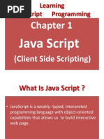 Learning Javascript Programming: Java Script