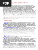 Recoltarea plantelor medicinale