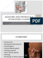 Anatomy and Physiology of Salivary Glands