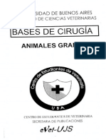 Animales Grandes - Laparatomías..