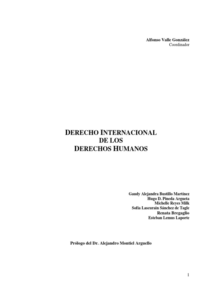 Derecho Internacional de los Derechos Humanos | PDF | Cónsul ...