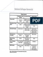 Gerencia Pública Tema 1