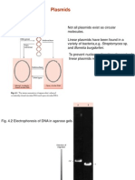 Plasmids Rpathania