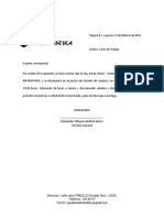 Carta de trabajo Ing. Karen Verduzco Sánchez INFORMATIKA