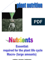 Plant Nutrition