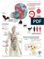 Infografía Sobre El Virus Ébola