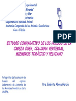 Estudio Comparativo Huesos-comparada