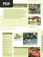 PAISAGISMO - TREPADEIRAS