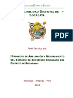 Perfil Proyecto 2010 (1)
