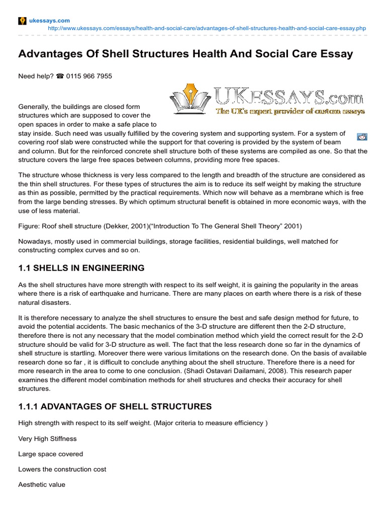 Seashell description image