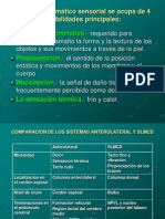 fisiologia-del-dolor-1222387766649948-8 (1)