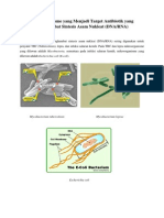 Mikrofar - Mikroorganisme Target AB Penghambat Sintesis Asam Nukleat