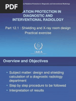 RPDIR-P12.1 Shielding Calculation WEB
