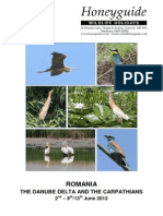 Romania's Danube Delta: A Birdwatcher's Paradise