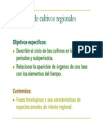 Fenología de cultivos regionales: Ciclo del maíz