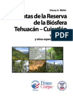 Plantas de la Reserva de la Biósfera Tehuacán-Cuicatlán