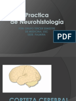 Atlas de Neurohistologia