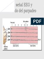 Señales Biomedicas