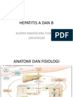 Hepatitis A Dan B