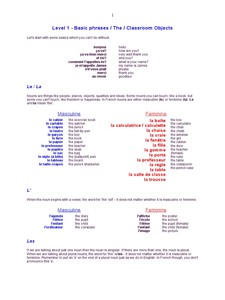 Easy French | PDF | Grammatical Gender | Grammatical Conjugation