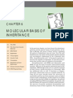06Molecular Basis of Inhertance