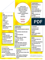 Energia e Nutriçao
