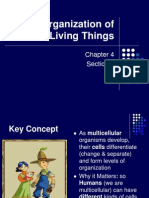 The Organization of Living Things: Section 3