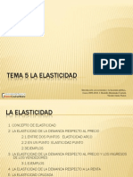 I. Tema 5 PDF Elasticidad