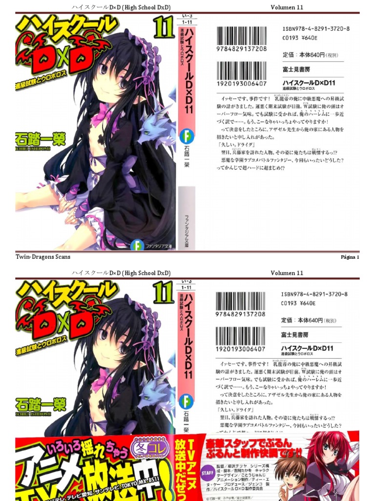 [TDS]High School DxD Vol.11.pdf