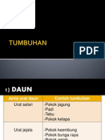 Tumbuhan thn3