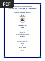 Monografia Introspeccion