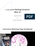 Praktikum Patologi Anatomi Blok 15