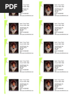 Thanh'sBusinessProfile.pub