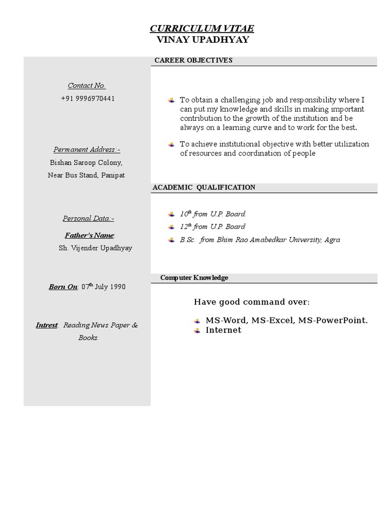 Vinay Upadhyay: Curriculum Vitae | PDF