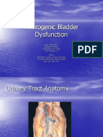 Neurogenic Bladder Dysfunction