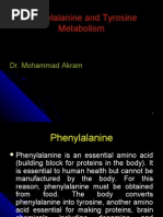 Phenylalanine and Tyrosine Metabolism (18 Oct)