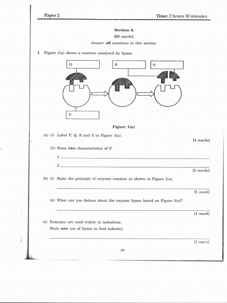 Biology SPM 2004 Paper 2 | Haemophilia | Circulatory System