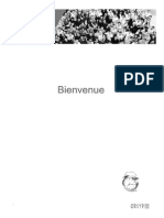 Formation Bridge DU V6.pdf