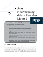 Topik 5 Asas Neurofisiologi Dalam Kawalan Motor 2