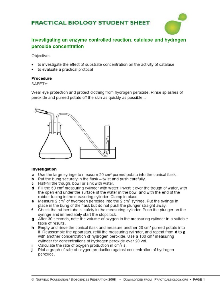 Effect of enzyme concentration on enzyme activity experiment image