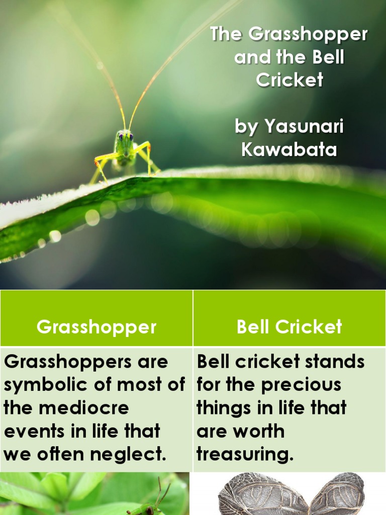 The and the Bell Cricket