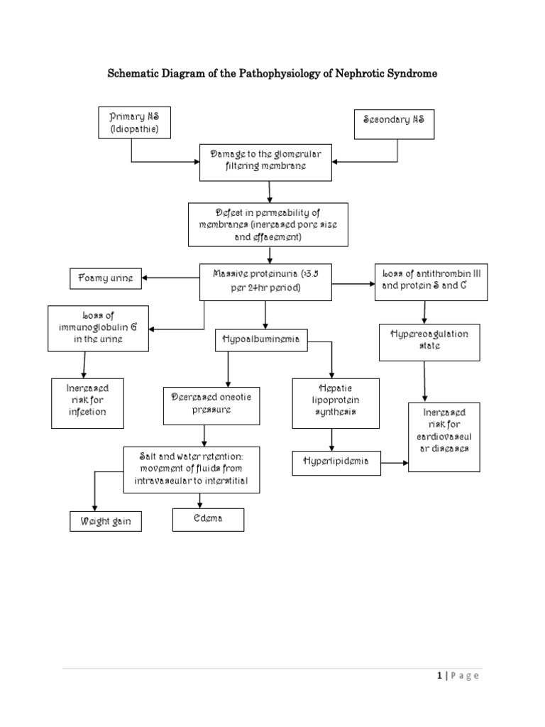 Pathophysiology of Nephrotic Syndrome | Medical Specialties | Diseases ...