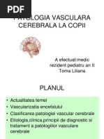 Patologie Vasculara Cerebrala