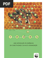 Redes - Uma Introdução às Dinâmicas da Conectividade e da Auto-Organização