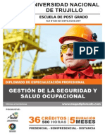 Brochure Diplomado Gsso - Gmp