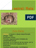 Animales III, Ciclo Estral en Rata.