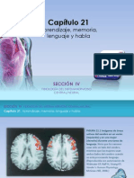 Raff Fisiologia Figuras c21 Aprendizaje Memoria