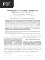 Download Temu Mangga Mango ginger by anon_593878500 SN236535750 doc pdf