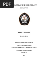 Download Tugas Makalah Lamun by Kirana Candrasari SN236536111 doc pdf